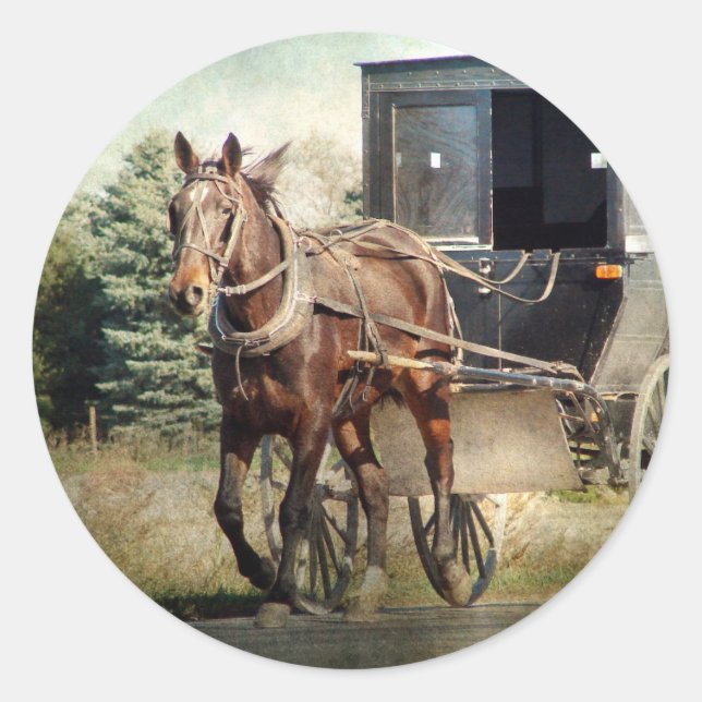 Sticker Rond Cheval et Buggy en Iowa rural (Devant)