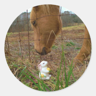 Sticker Rond cheval et fleur de printemps Bunny