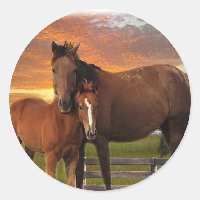 Sticker Rond Cheval et poney (Devant)