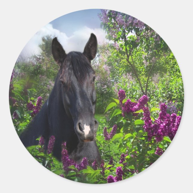 Sticker Rond Cheval noir en lilas (Devant)