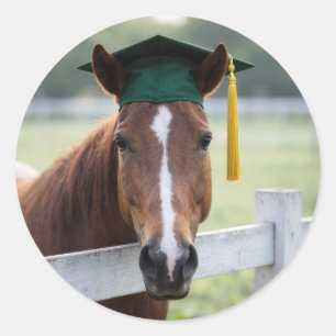 Sticker Rond Cheval portant une casquette de remise de diplôme 