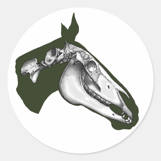Sticker Rond Cheval Squelette (Devant)