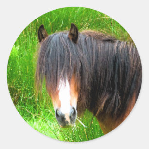 STICKER ROND CHEVAUX