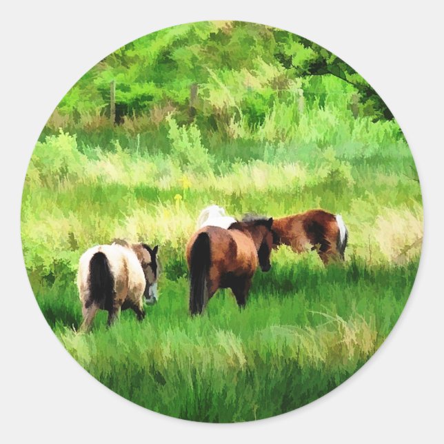 STICKER ROND CHEVAUX (Devant)