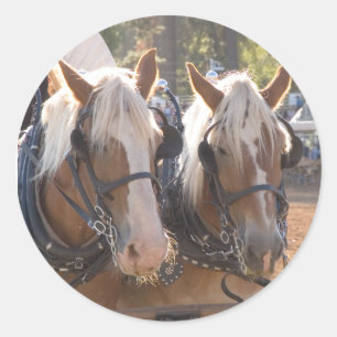 Sticker Rond Chevaux