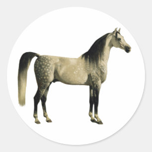 Sticker Rond Chevaux antiques - Arabian