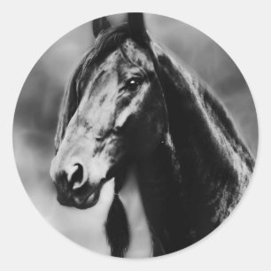 Sticker Rond Chevaux Apache