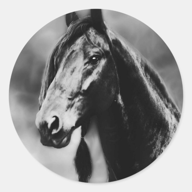 Sticker Rond Chevaux Apache (Devant)