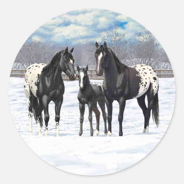 Sticker Rond Chevaux Appaloosa Noir En Neige (Devant)
