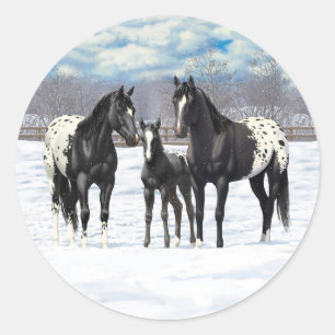 Sticker Rond Chevaux Appaloosa Noir En Neige