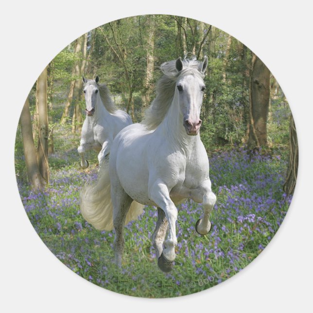 Sticker Rond Chevaux d'Imaginaire : Bois de Bluebell (Devant)