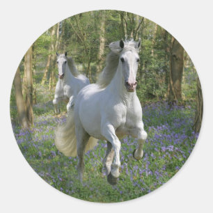 Sticker Rond Chevaux d'imaginaire : Bois de jacinthe des bois
