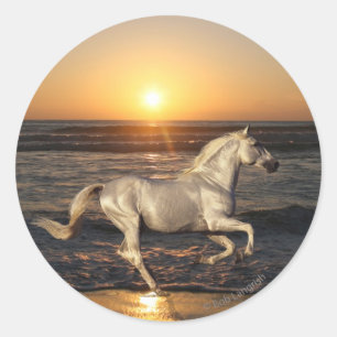 Sticker Rond Chevaux d'Imaginaire : Coucher de soleil