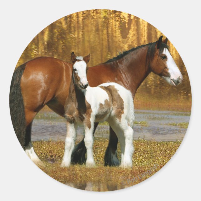 Sticker Rond Chevaux d'Imaginaire : Mare & Foal (Devant)