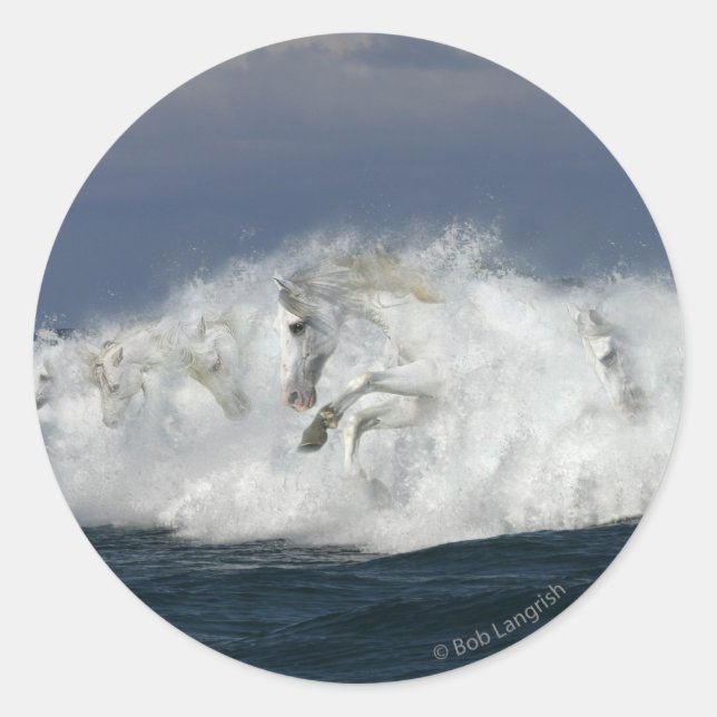 Sticker Rond Chevaux d'Imaginaire : Mer (Devant)