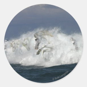Sticker Rond Chevaux d'Imaginaire : Mer