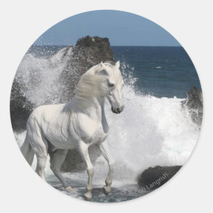 Sticker Rond Chevaux d'imaginaire : Mers du sud