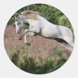 Sticker Rond Chevaux d'Imaginaire : Spring Gallop