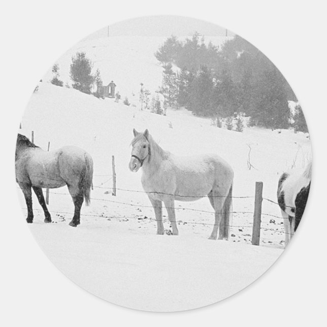 Sticker Rond Chevaux En Hiver (Devant)