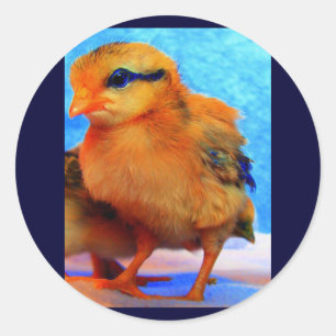 Sticker Rond Chick-A-Dee-Light de Pâques