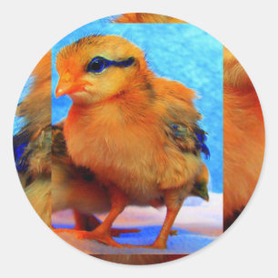Sticker Rond Chick-A-Dee-Light I de Pâques