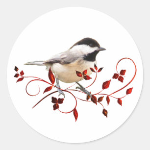 Sticker Rond Chickadee