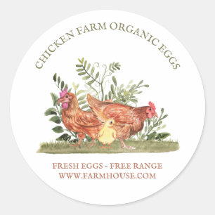 Sticker Rond Chicken Farm Oeufs frais libre gamme