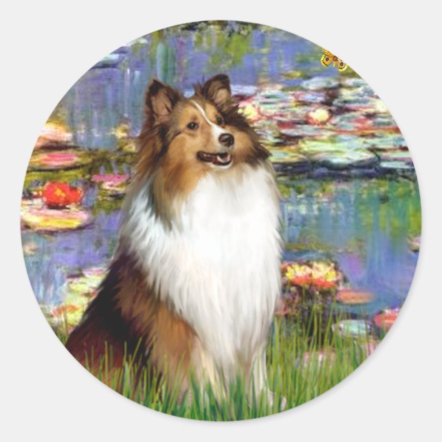Sticker Rond Chien à mouton de Shetland (Bz) - Lys 2 (Devant)