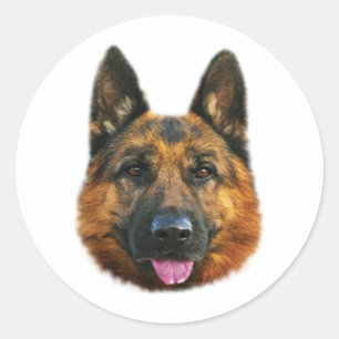 Sticker Rond Chien allemand berger alsacien K-9