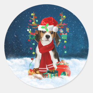 Sticker Rond Chien beagle avec cadeaux de Noël