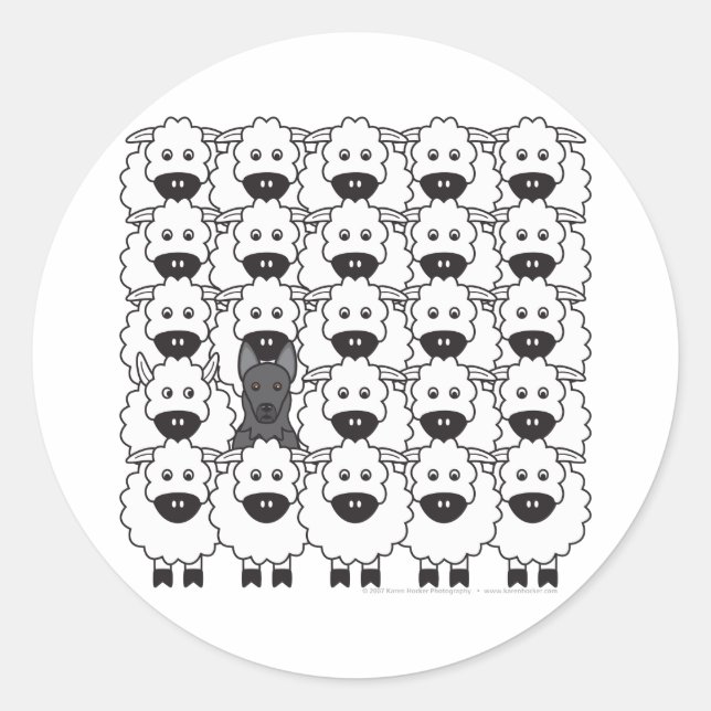 Sticker Rond Chien berger allemand dans le mouton (Devant)