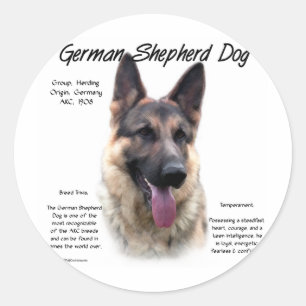 Sticker Rond Chien berger allemand (sable) Histoire Conception