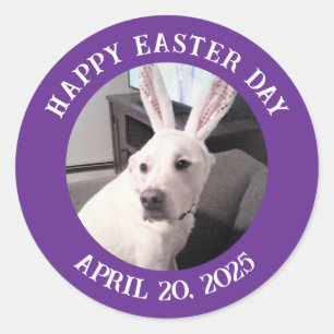 Sticker Rond Chien blanc mignon portant lapin de Pâques oreille