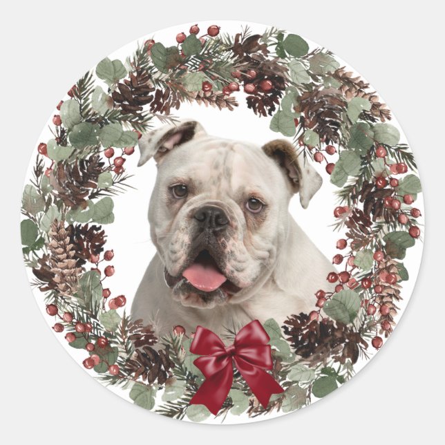 Sticker Rond Chien blanc Pinecone Wreath Noël (Devant)