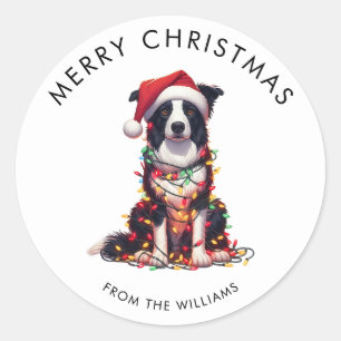 Sticker Rond Chien Border Collie Enveloppé De Lumières De Noël 