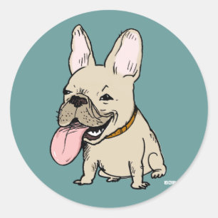 Sticker Rond Chien Bouledogue Français Drôle avec une énorme la