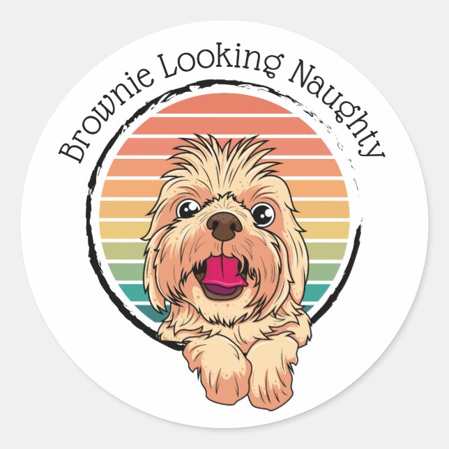 Sticker Rond Chien Brownie à l'air coquin (Devant)