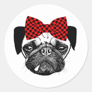 Sticker Rond Chien Carlin femme rouge Checkers Bow Animaux de c
