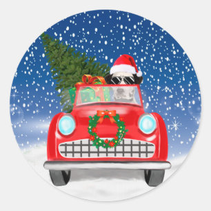 Sticker Rond Chien Dalmatien Conduisant une Voiture dans la Nei