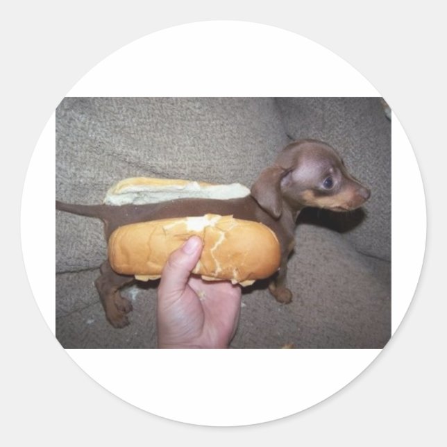 Sticker Rond Chien dans un petit biberon (Devant)