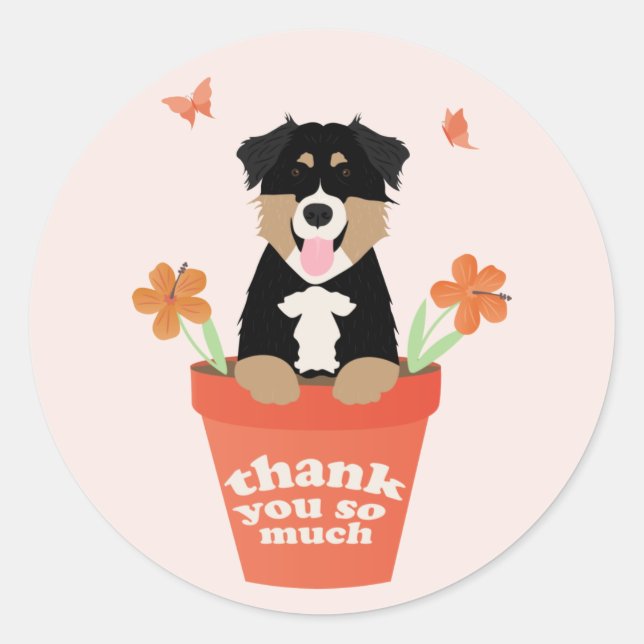 Sticker Rond Chien De Berger Australien En Pot De Fleur Merci (Devant)