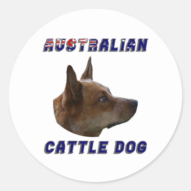 Sticker Rond Chien de bétail australien (Devant)