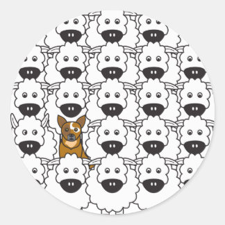 Sticker Rond Chien de bétail australien dans les moutons