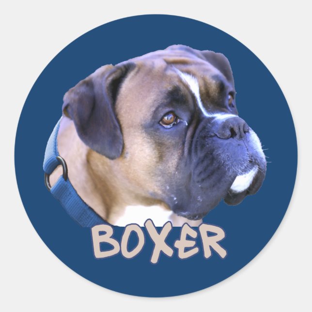 Sticker Rond Chien de boîte (Devant)