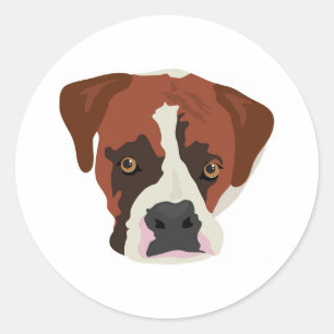 Sticker Rond Chien de boîte