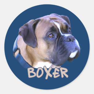 Sticker Rond Chien de boxe