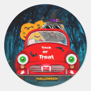 Sticker Rond Chien de caniche voiture effrayant Halloween