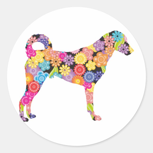 Sticker Rond Chien de Kangal (Devant)