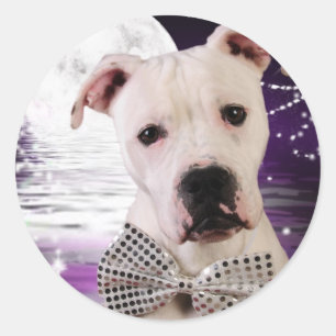 Sticker Rond Chien de lune