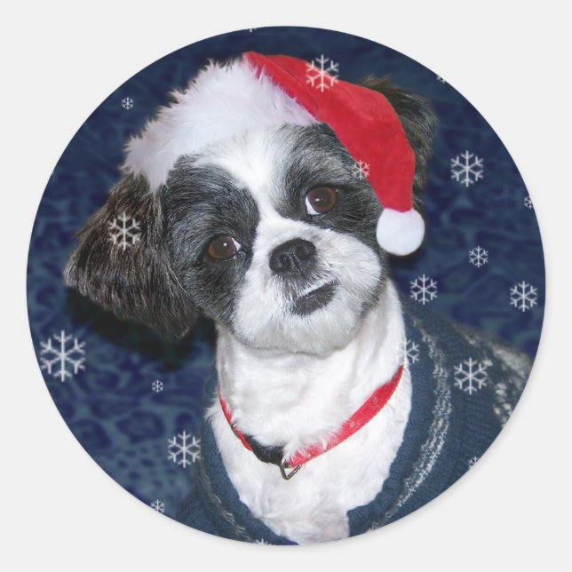 Sticker Rond Chien de Noël Shih Tzu (Devant)